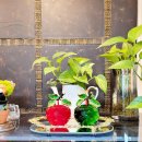 운중로138번길 이미지