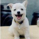 기분 - 서구 | 기분