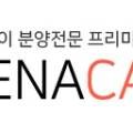 부산고양이분양제나캣 사상점 이미지