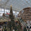 2025 팜엑스포 코엑스 별마당, 플랜튜드, 카페드리옹 후기