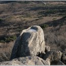 로즈호프