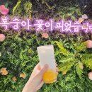 서울숲카페 복숭아팝업스토어 방추리 복숭아쥬스 마신 후기!