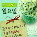 하얀코끼리 이미지