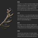 설화사슴목장 이미지