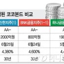 더스토리코코