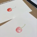 색연필로 쉽게 그리는 보타니컬아트 이미지