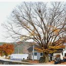 회룡경로당 이미지