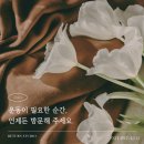동천로99번길 이미지