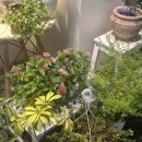 동수로126번길 이미지