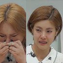 금쪽 이미지