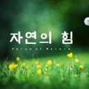 영통건강원