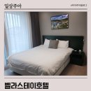 벨라스테이춘천 | 춘천 가성비 숙소 벨라스테이호텔 춘천 내돈내산 후기