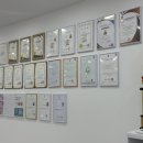 토토미네일