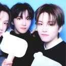 라니 이미지