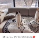 오뚜기정수기 이미지