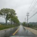 칠보마트 이미지