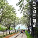 산업단지1길(풍산읍) | 전주이팝나무축제 2026 일정 공개 🌸 단 5일만 열리는 꽃길 (작년 후기)