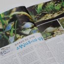 고기이야기 이미지