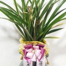 반포뉴본한의원 이미지