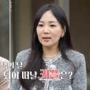 미스터박 이미지