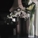 영광통닭 이미지