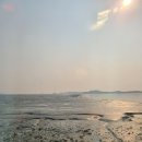 신안장수 | 신안 출장 후기🛳 I 집에서 이것저것 챙겨먹기