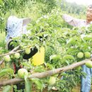 강진읍시장(어물전) 이미지