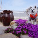 빙수네민박 이미지