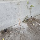 밝은빛 2 태양광발전소 | [창원] 태양광 발전소 시공 사례