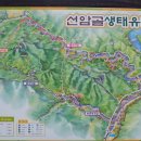 선암골생태유람길 이미지