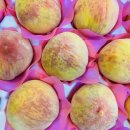 은아상회 이미지