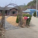 홍성부동산중개사무소 Daum카페