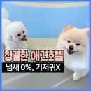남동151 | 남동구 애견호텔,냄새0%기저귀없고 24시상주까지, 가성비끝판왕!(ft.송도애견호텔)