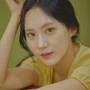 스텔라컴퍼니