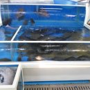 해양수산복합센터 이미지