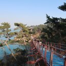 대왕암솔바람길 이미지