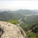 스테이 수림 이미지