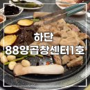 [부산 맛집] 잡내없이 깔끔하고 맛있는 하단양곱창 :: 하단 88양곱창센터1호