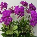 미소퀸산부인과의원 이미지