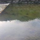 월악산 꽃피는 산골 이미지