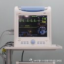 24시 웰니스 동물 의료센터 이미지