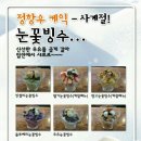 정항우케익 이미지