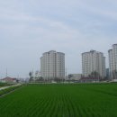 건천4리 이미지