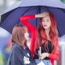 다도연 이미지