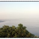 백암쉐이리 이미지