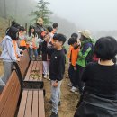 한울초등학교 4학년 숲해설, 생태교육 후기 이미지