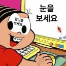 캣독카페 | 강렁다녀옴