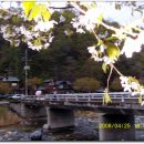 화악산통나무펜션 이미지