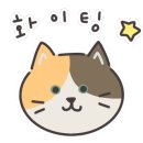 캣 미용실 이미지