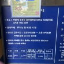 세느네일 이미지